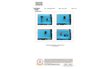 環(huán)保測(cè)試報(bào)告 SVHC CANEC25009119801