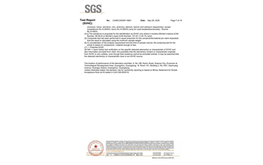 環(huán)保測試報(bào)告 SVHC CANEC25009119801